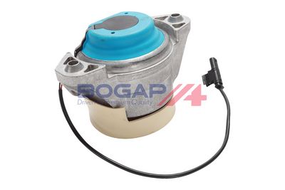 BOGAP Variklio montavimas