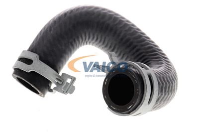 KüHLERSCHLAUCH VAICO V301096 20