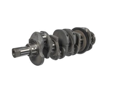 ARBORE COTIT ET ENGINETEAM HK0231 14