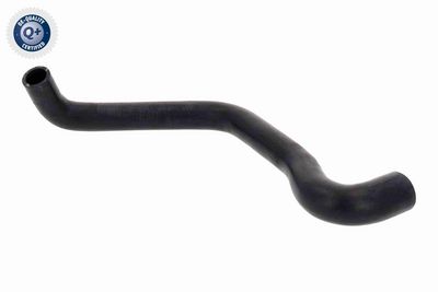 FURTUN RADIATOR VAICO V221166 2