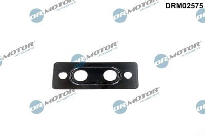 Dr.Motor Automotive Dichtung, Wasseranschluss (Lader)