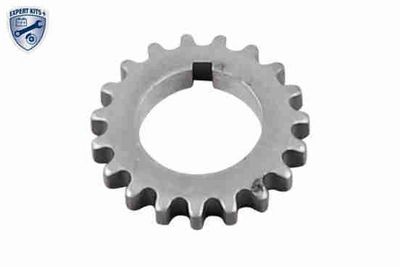 ROATA DINTATA ARBORE COTIT