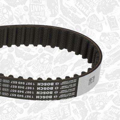 SET CUREA DE DISTRIBUTIE ET ENGINETEAM RM0023 8