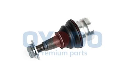 Šarnyras / girgždukas