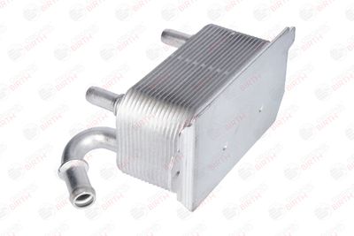 RADIATOR ULEI ULEI MOTOR BIRTH 80126 5