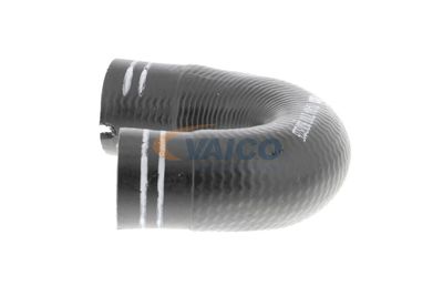 FURTUN EAR SUPRAALIMENTARE VAICO V240804 23