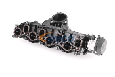 SAUGROHRMODUL VAICO V105269 17