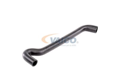 FURTUN AERISIRE CHIULASA VAICO V102937 53