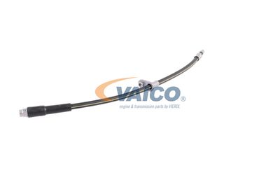 FURTUN FRANA VAICO V420748 20