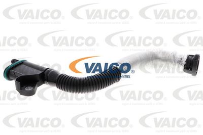 Шланг, вентиляция картера VAICO V10-5579 для VW JETTA