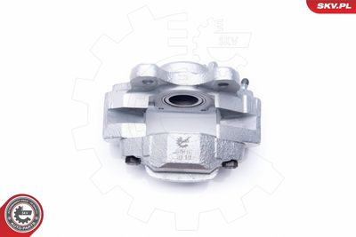 Brake Caliper 34SKV907