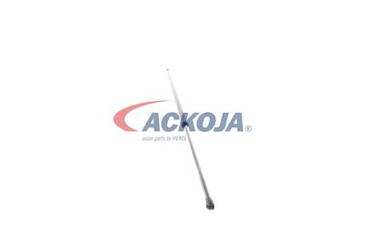 AMORTIZOR PORTBAGAJ ACKOJA A380069 24