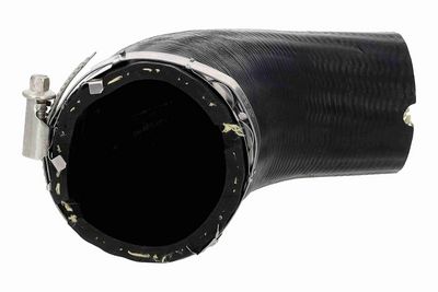 FURTUN EAR SUPRAALIMENTARE