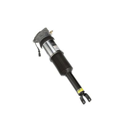 LUFTFEDERBEIN Arnott AS2965 56