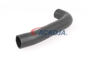 FURTUN EAR SUPRAALIMENTARE ACKOJA A379602 29