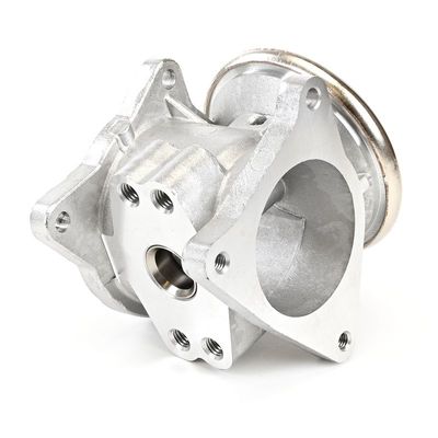 SUPAPA EGR DELPHI EG1042112B1 17