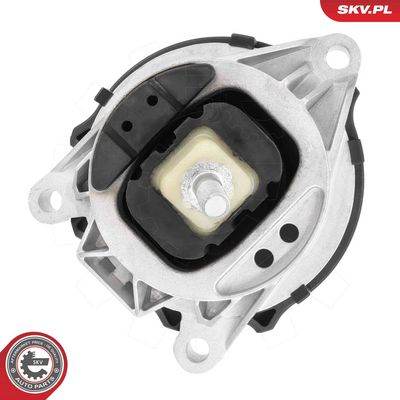 variklio montavimas 75SKV086 ESEN SKV