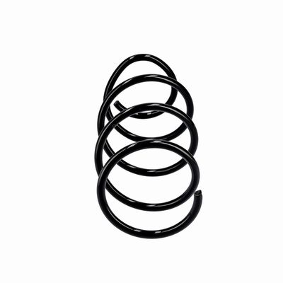 ARC SPIRAL EIBACH R10875 13
