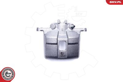 Brake Caliper 44SKV992