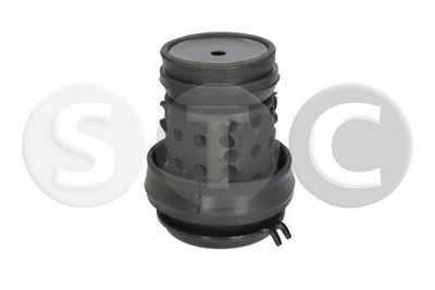окачване, двигател STC T454564