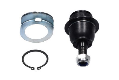 Kavo Parts Šarnyras / girgždukas