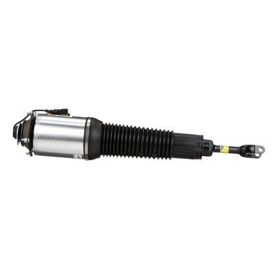 LUFTFEDERBEIN Arnott AS2560 16