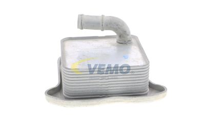 RADIATOR ULEI ULEI MOTOR VEMO V15606062 49