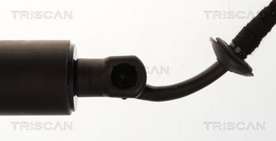 Plynárenská vzpera (pneumatická pružina), zavazadlový priestor TRISCAN 8710 28310