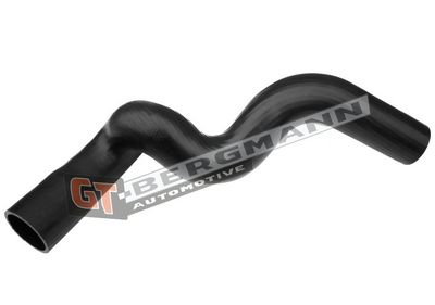 GT-BERGMANN Automotive - Hadica plniaceho vzduchu (hadica turba) VW, AUDI , GT52-120