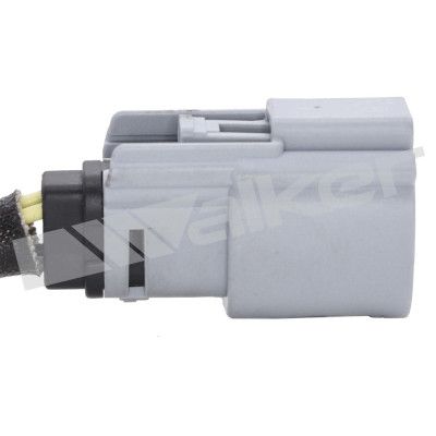 LAMBDASONDE WALKER PRODUCTS 250241286 3