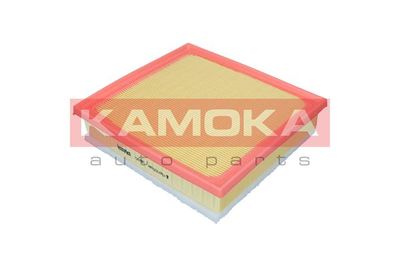 Air Filter F257801