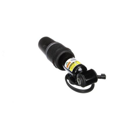 LUFTFEDERBEIN Arnott AS2163 33