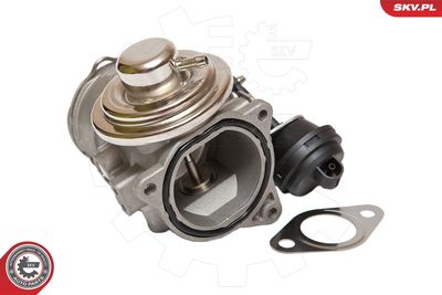 EGR Valve 14SKV081