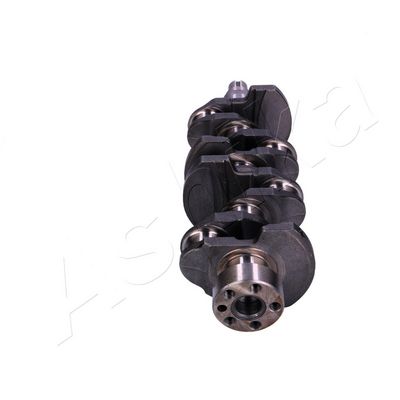 ARBORE COTIT ASHIKA 18HY000 1