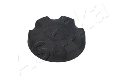 BUSON RADIATOR ASHIKA 3300038 1