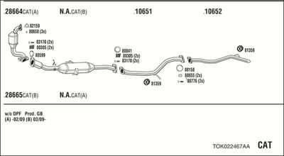 SISTEM DE ESAPAMENT WALKER TOK022467AA