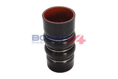 FURTUN EAR SUPRAALIMENTARE BOGAP F1711121 3