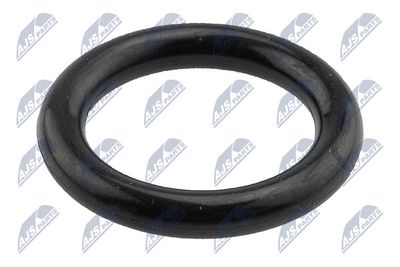 INEL ETANSARE LOCAS BUJIE NTY EUSSU002 1