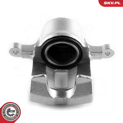 Brake Caliper 50SKV881