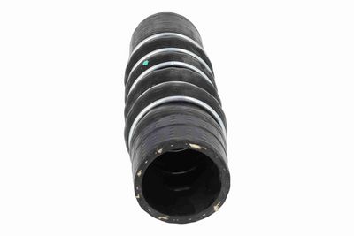 FURTUN EAR SUPRAALIMENTARE ACKOJA A269676 5