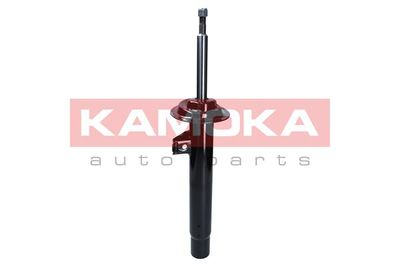 Shock Absorber 2000417