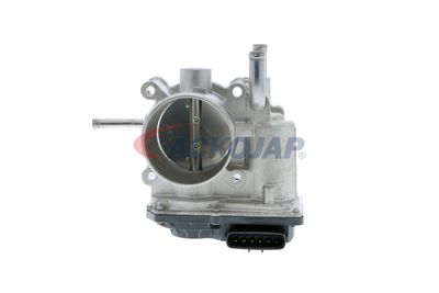 CARCASA CLAPETA ACKOJA A52810003 13