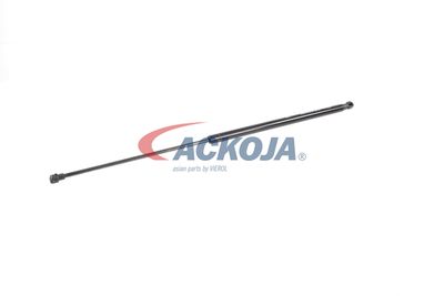 AMORTIZOR PORTBAGAJ ACKOJA A380338 34