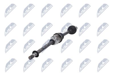 PLANETARA NTY NPWFT100 39