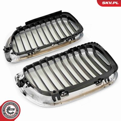 GRILA RADIATOR ESEN SKV 66SKV078 4