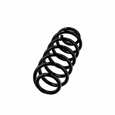 ARC SPIRAL EIBACH R10413 14