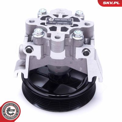 Hidraulinis siurblys, vairo sistema