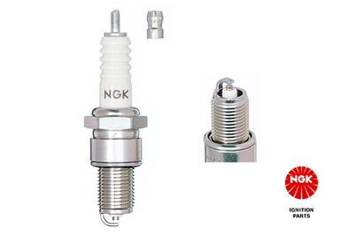 Spark Plug 6928