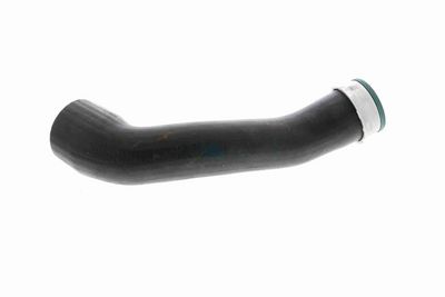 LADELUFTSCHLAUCH VAICO V201625 5