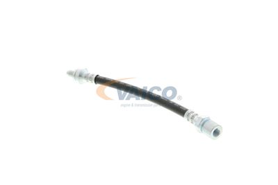 FURTUN FRANA VAICO V404107 17